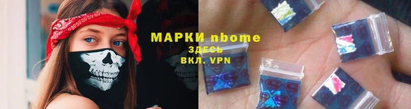 прущие грибы Зеленокумск