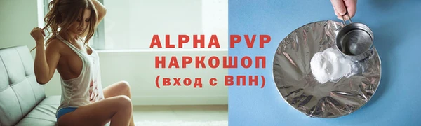 прущие грибы Зеленокумск