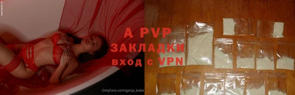 прущие грибы Зеленокумск