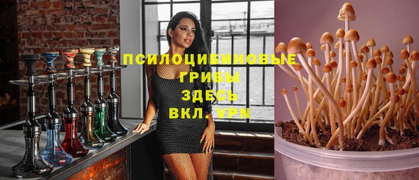 ГАЛЛЮЦИНОГЕННЫЕ ГРИБЫ Зерноград
