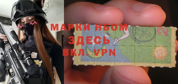 прущие грибы Зеленокумск