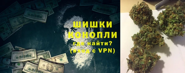 прущие грибы Зеленокумск