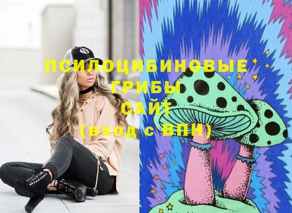 прущие грибы Зеленокумск